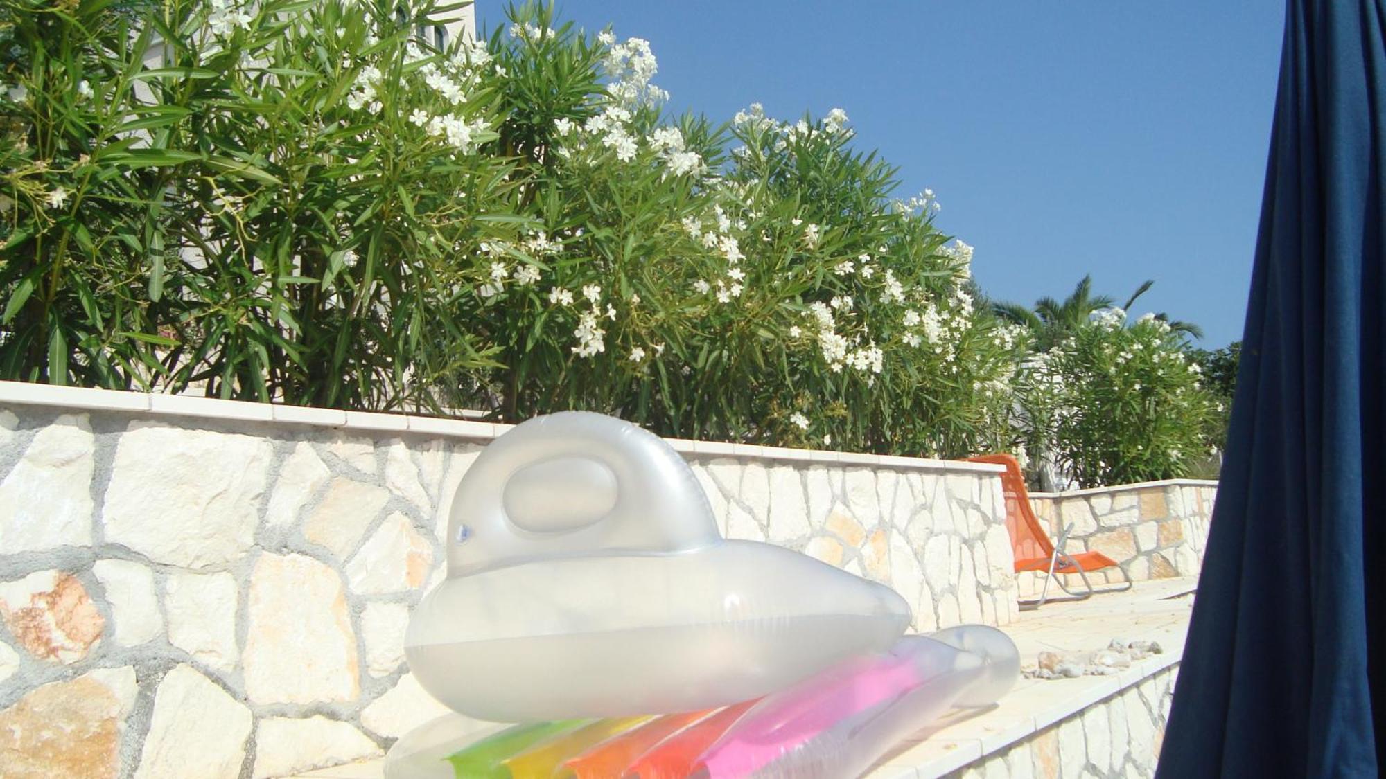 Apartments Niana With Heated Seawater Swimingpool Donji Okrug Exterior foto
